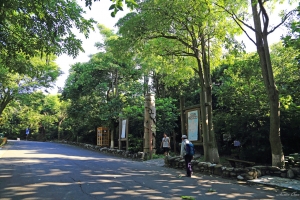 柴山拍猴