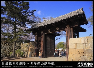 日本賞櫻【姬路名城‧日夜齊放】啊～狂拍啦