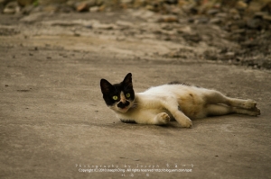 北海一周到處趴趴走