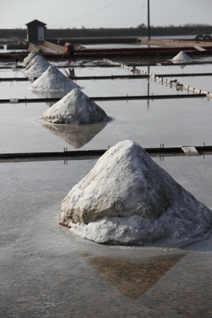 2013 井仔腳鹽田 … by DW