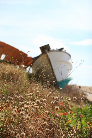 外浦漁港 + 好望角風車