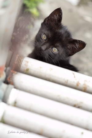 終於跟他們一家子培養起一點點感情了～