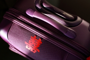 俊育、繐旻結婚記錄