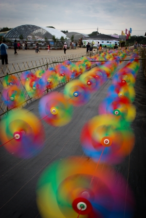 2011-11-13 新社花海+新桃花源橋