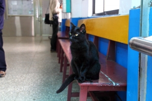 之前去猴硐拍的照片