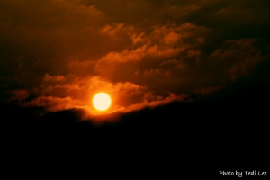 日落...一張流..