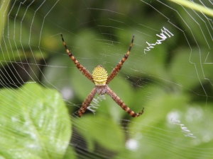 草湳溼地7D+15-85MM
