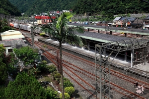 侯硐打貓趣by流川楓