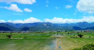 台東太麻里金針山之旅