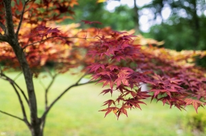 ::: 6D 回憶錄 2013 by DV :::