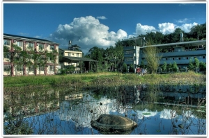 周休半日遊-紙教堂