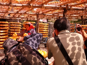 (新竹 新埔)柿餅不是餅！