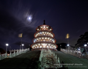 夜訪天元宮~吉野櫻