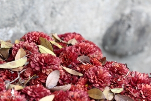 板橋林家花園習拍<(￣︶￣)>↗