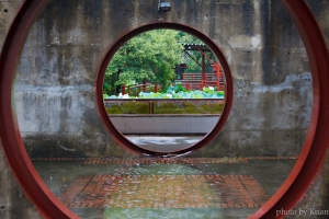 颱風天來好拍荷