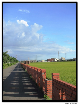 台中大肚渡船頭