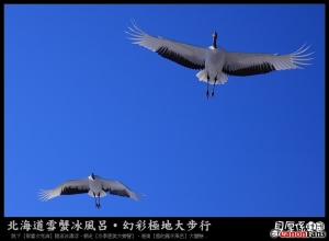 北海道【道東晴空鶴見台、品嚐勝手海鮮蓋飯】