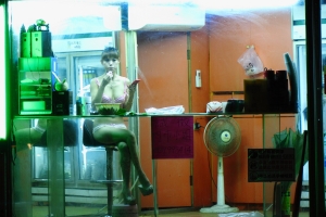 S17-70 VS 新百微 檳榔m 花草 昆蟲對決