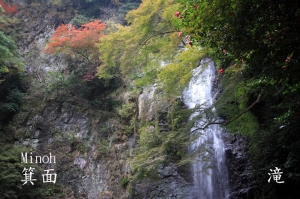 日本箕面-楓景