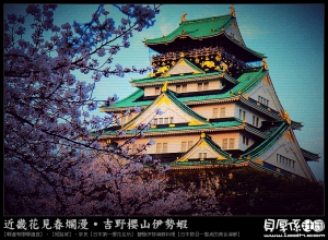 日本賞櫻【LOMO詩心風】:::花伴良辰:::