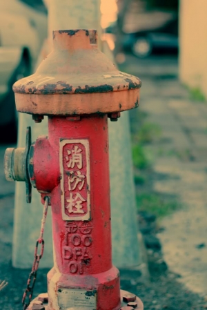 心情寫照  (試著550D+50MM不換鏡拍到底)