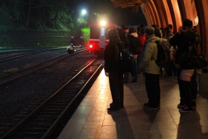 日出，櫻王櫻后，森林小火車@阿里山(25P圖多)