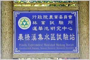 追楓去-台八線102K