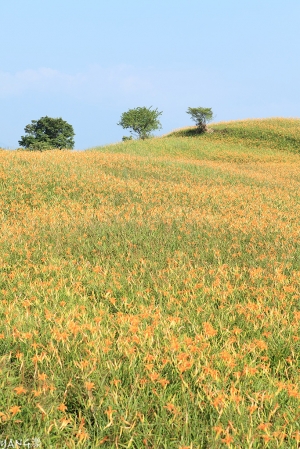 花蓮六十石山