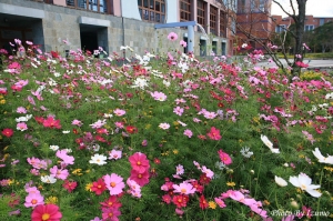 台東史前文物館後花園及水舞_隨拍