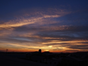 端午夕陽..(一張流)