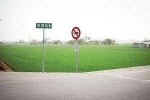 後壁村+岸內糖廠半日遊