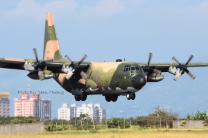 老虎我們回來看你們囉