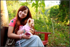 好朋友‧薰衣草森林