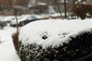 2012紐約瑞雪！