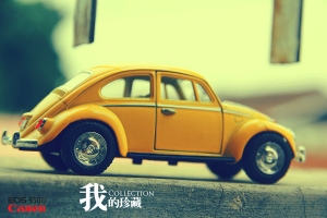 我的珍藏