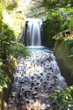 三峽白雞山行脩宮拜見乾爹