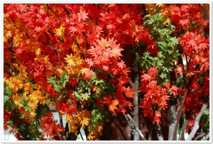 test3