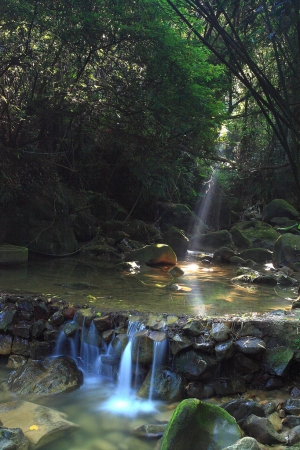 土城龍泉溪斜射光