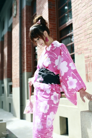 鳳凰號來臨前的小貍