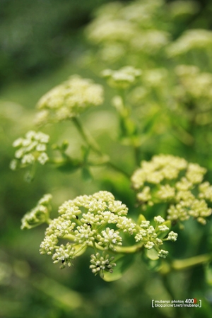 東管處志工 - 三仙台戶外課程(下)