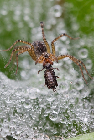 百微舊換新 生態試拍