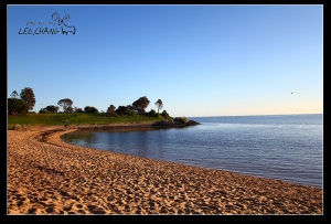 趁天氣好出來走走~墨爾本市中心 & Brighton Beach