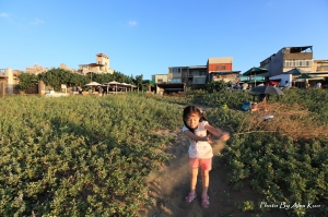 [Alex Kuo]抓住夏天的尾巴
