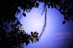 福隆與最近隨拍