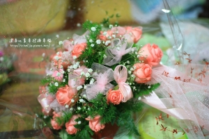 建昌vs.素幸 迎接幸褔