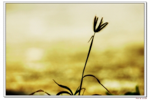 年假最後一天所拍的雜拍