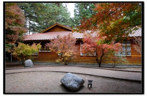 很夯的福壽山楓紅@Benson