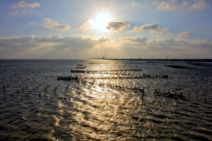 〔5.28〕七股之光