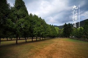 (chujy) 九族櫻花賞, 清水之美