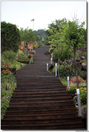 我和女王相識、相戀第九年的紀念日!